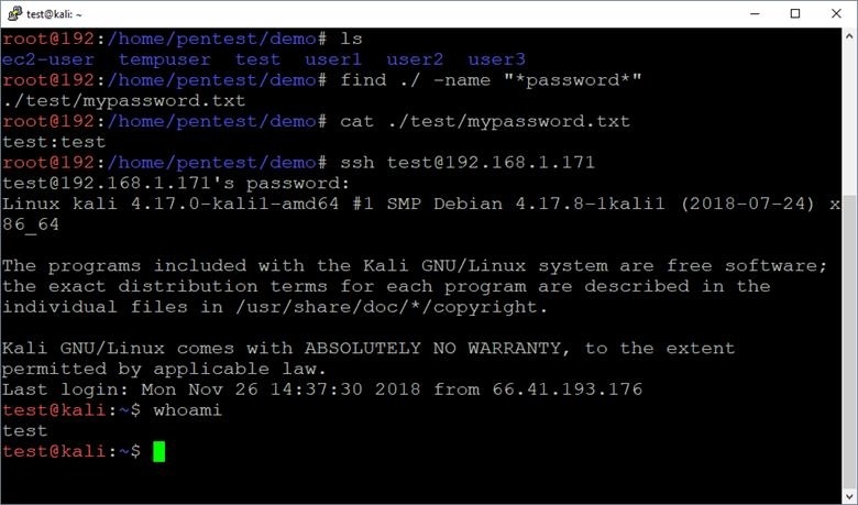 Рисунок 9: Поиск файлов, имя которых содержит слово «password»